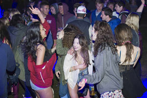 Festival goers party to DJ Si Evans