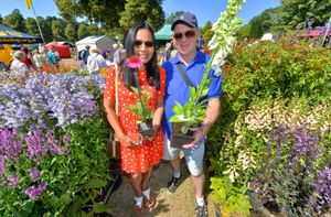Several people were milling around, early doors, having a look at various exhibits while it was quiet.