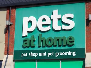 Supporting image for story: ‘Urgent’ action needed to revive Pets at Home retail chain, says interim boss