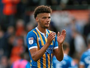 Supporting image for story: Shrewsbury Town's Lee Angol aims for a goal-den season