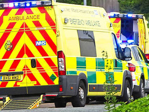 Supporting image for story: Woman seriously injured and dog killed as they are hit by car