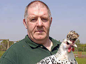 Supporting image for story: Hen rustlers target rare breeds