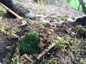 Supporting image for story: Vandals bury broken glass at Shropshire beauty spot