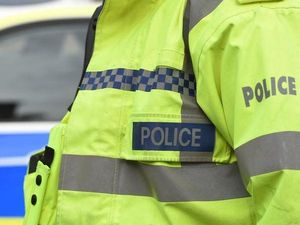 Supporting image for story: Horse stabbed in Whitchurch field