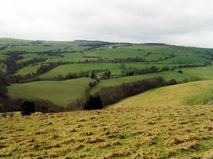 Supporting image for story: Elderly man, 78, dies after being found by dog walker on Rowley Hills