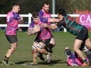 Supporting image for story: Telford Hornets maintain grip on title