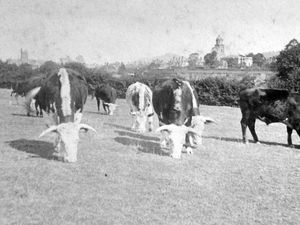 Supporting image for story: Pictures From The Past - June 22