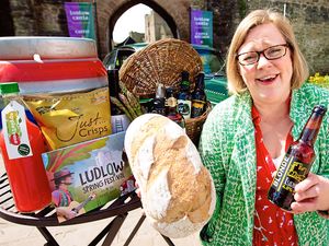 Supporting image for story: Ludlow Spring Festival back for 10th year