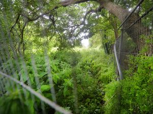 Supporting image for story: Campaigners call for planning permission delay over homes at £550,000 site in Shrewsbury