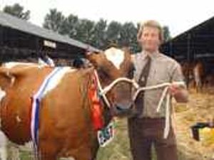 Supporting image for story: Farmer's delight at cow success