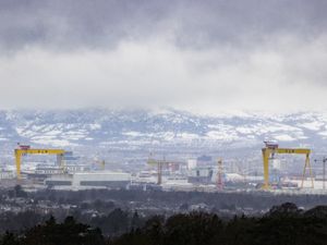 Supporting image for story: Belfast Hills project helping young people with anxiety