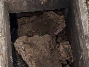 Supporting image for story: Rats run wild after drain covers stolen