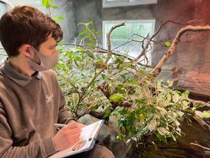 Supporting image for story: Staffordshire theme park tallies up all creatures great and small in annual zoo stock take