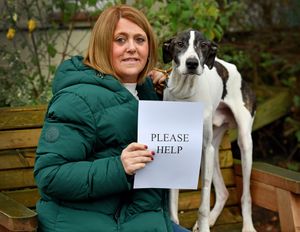 Volunteer Jo Wrate and one of Hilbrae's residents, Chess the dog