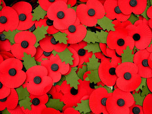 Supporting image for story: Boy with only 80p is refused a poppy