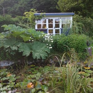 Supporting image for story: Alan Titchmarsh takes over as National Garden Scheme President as more gardens open in Powys