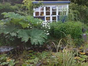 Supporting image for story: Alan Titchmarsh takes over as National Garden Scheme President as more gardens open in Powys