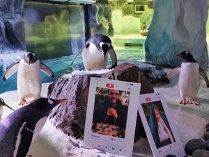 Pablo and the Fin-der boards at Birmingham Sea Life Centre
