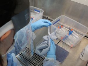 Supporting image for story: Travellers from South Africa to be tested as UK sounds alarm over new variant