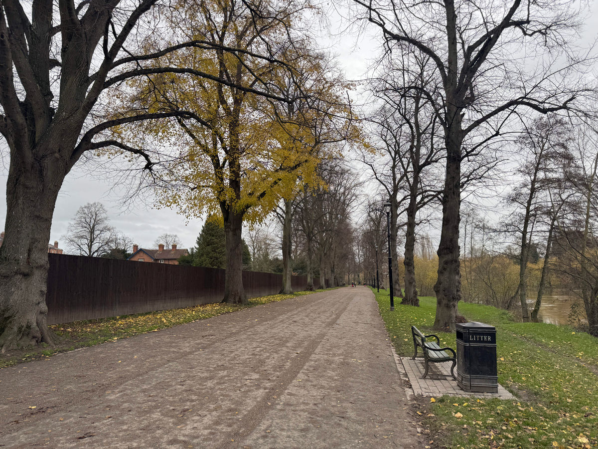Riverside footpath in Shrewsbury's Quarry to close so ageing and 'unsafe' lime trees can be removed