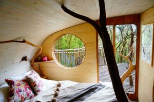 Inside a living room treehouse