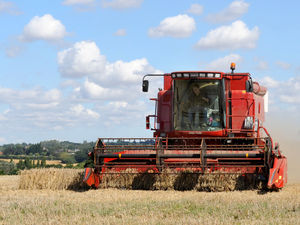 Supporting image for story: Shropshire's farming income falls to lowest level in 10 years