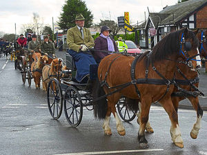 Supporting image for story: Nothing can rein on Whitchurch parade