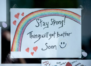 Colourful drawings have been placed in the windows of Mandy Rayner's home.
