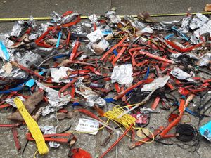 Supporting image for story: Shrewsbury resident fed up with flower show firework 'carnage' calls for display to be scrapped