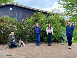 Supporting image for story: Wrexham Glyndwr University welcomes UK’s only hedgehog detection dog onto campus