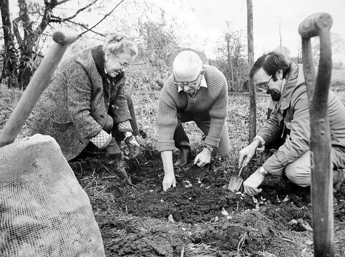 Past inquiries ignored health data&mdash;Hixon must not repeat this - your letters, plus a nostalgic snap of spring bulb planting, 1974