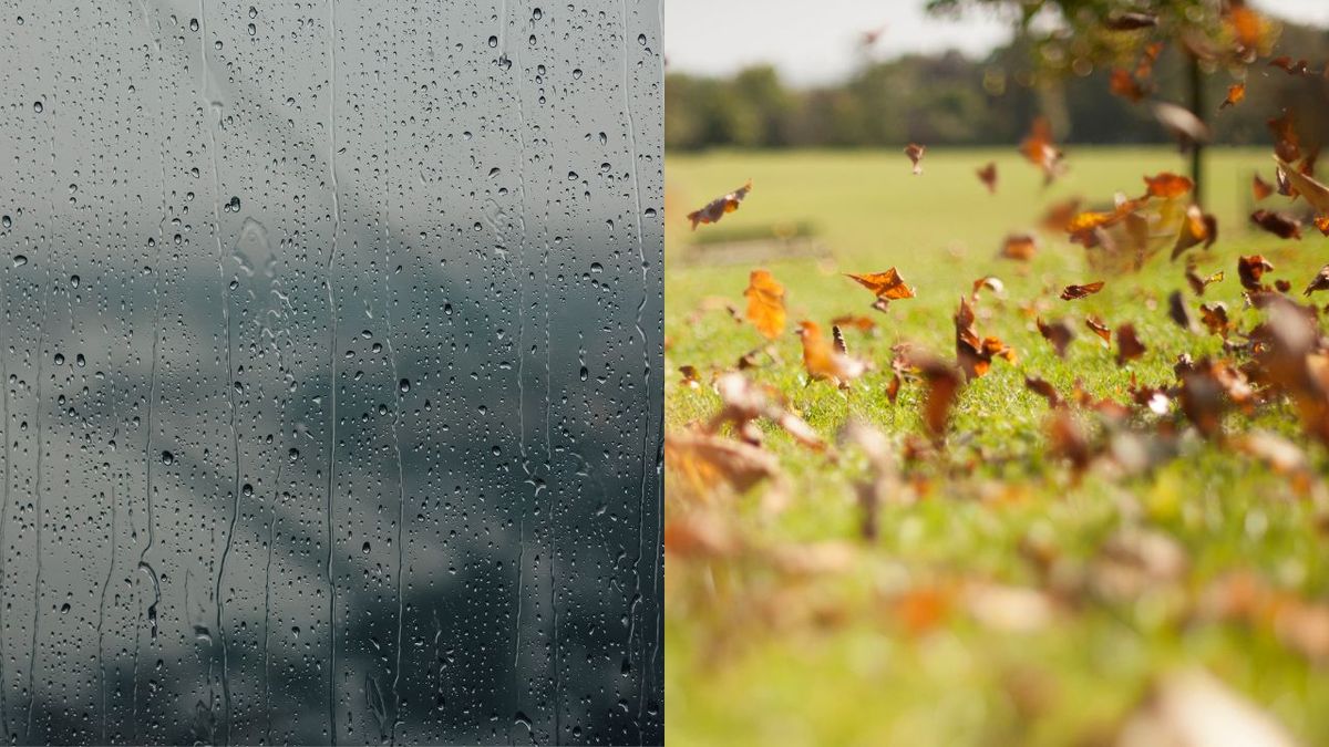 West Midlands forecast shows rain and wind as Hurricane Humberto to impact UK weather