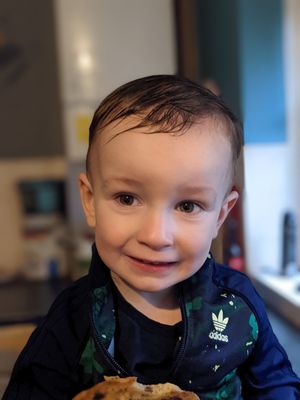 Romy pictured before the attack