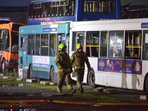 Supporting image for story: 15 buses destroyed in second arson attack on Diamond buses in 12 months
