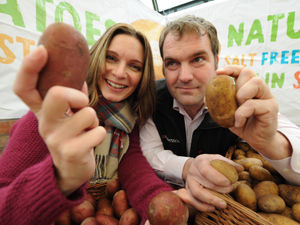 Supporting image for story: Potato Day returning to Newport next month
