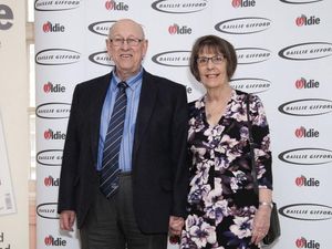 Supporting image for story