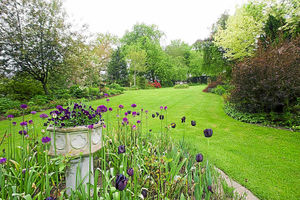 A lawn scene at Marehay Farm, Ratlinghope