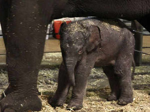 Supporting image for story: Let's start giving to bad causes