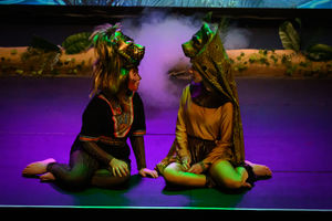 Bridgnorth Endowed pupils performing The Lion King