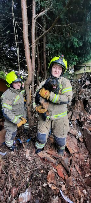 Firefighters were delighted to rescue the dog