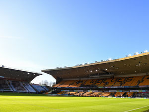 Supporting image for story: Wolves make unique appointment to look after player departures