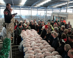Auctioneer Jonny Diamond sells turkeys at a previous Halls Christmas auction