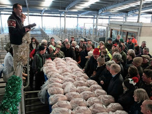 Supporting image for story: Christmas turkey auction: More than 250 birds including geese, ducks and chickens to go under the hammer in Shrewsbury