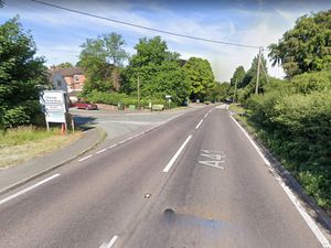 Supporting image for story: Horses loose on A41 killed after being hit by lorry and car - but drivers escape injury