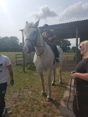 Wilf to Georgie: "Come on Geogie, let's jump the gate!" Georgie to Wilf: "No chance". Photo: Abby Matthews
