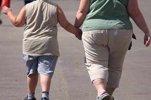 Supporting image for story: Star comment: Spotlight on blame for obesity