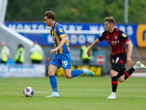 Supporting image for story: Steve Cotterill: More to come from Shrewsbury's new midfield duo 
