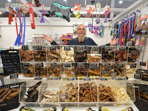 Supporting image for story: New Newport business has vision of keeping dogs healthy 