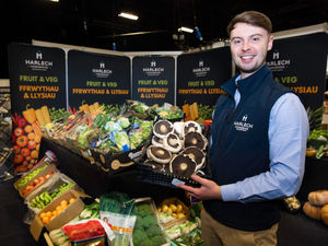 Supporting image for story: Shropshire wholesaler welcomes record crowds and £3m sales at food expo