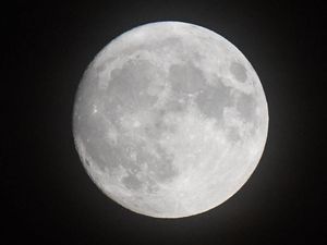 Supporting image for story: Everything you need to know about this weekend’s Beaver Moon